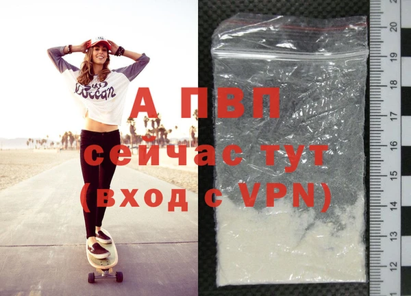 прущие грибы Няндома